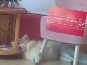 team schmerzfrei